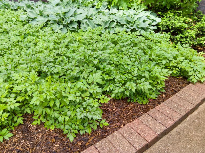 Brick Landscaping Installation in Nashua, NH