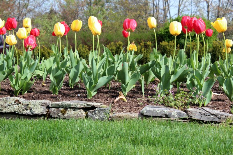 Stone Edging Installation in Nashua, NH