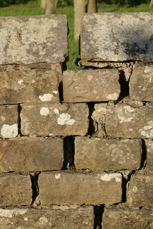 Stone Wall Repair in New Ipswich, NH